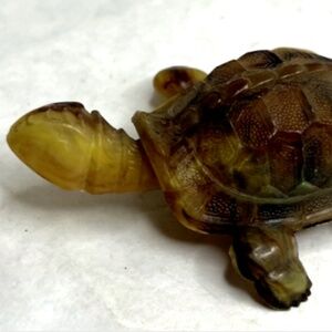 S.A. Reider & Co. Brown Celluloid Bobblehead Nodder Turtle 3.5” Germany Vintage